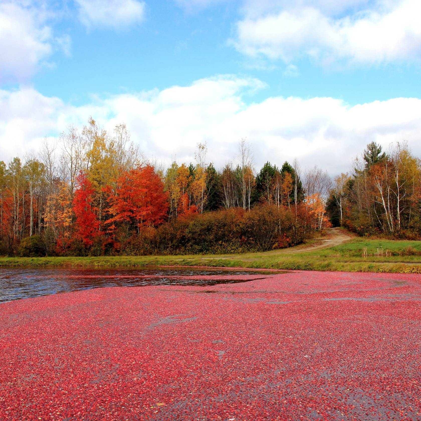 Canada